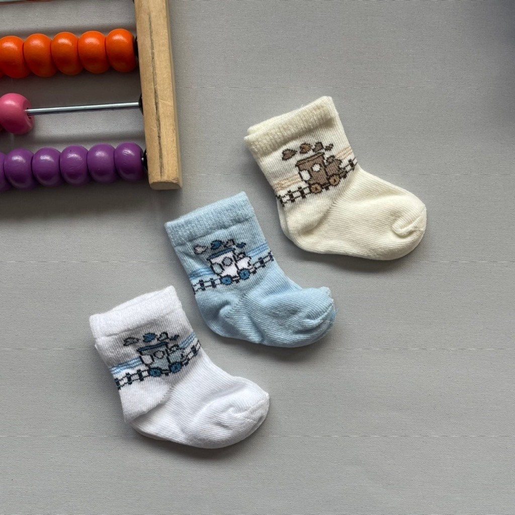 ayı baskılı 3lü Bebek çorabı 